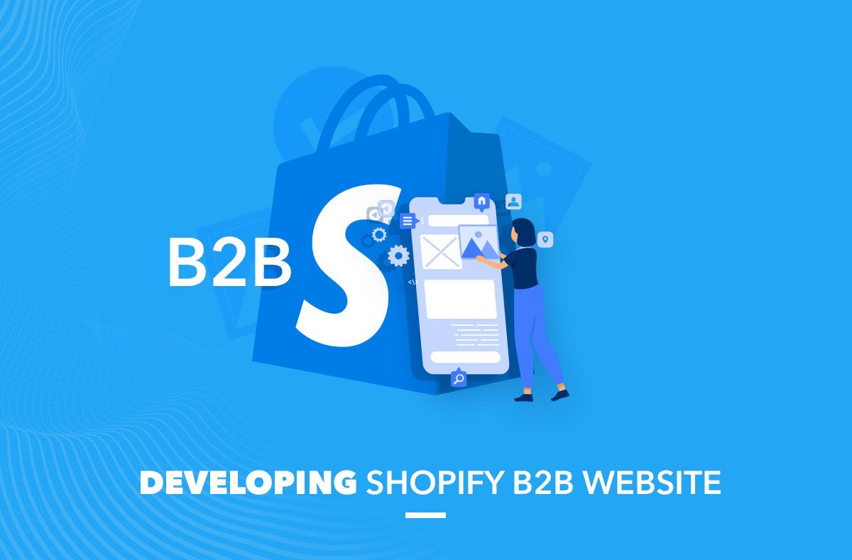 Developing Shopify B2B website